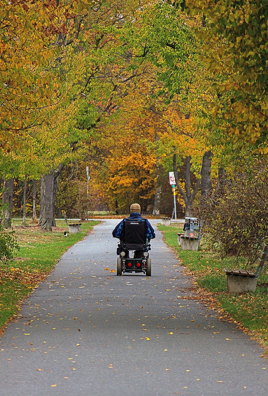 wheelchair, fall, park, ride, man, move, senior, leaf coloring, autumn leaves, mood, atmospheric, the atmosphere, leisure time, autumn motif, indian summer, wheelchair, wheelchair, wheelchair, wheelchair, wheelchair